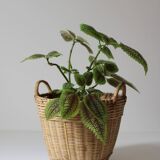 Vintage woven bamboo planter