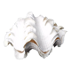 Tridacne Giant Clam xx -th