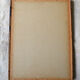 4 reproductions of naturalistic engravings exotic birds