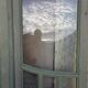 4 Art Nouveau partition doors + transom