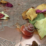 Moroccan tray in oriental pink copper