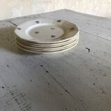 6 digoin flat plates