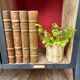 Meuble d'appoint "Cosy"