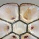 Large Art Deco style chandelier in Capiz shells and brass, 1960s.