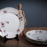 5 flat plates Iron Earth