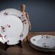 5 flat plates Iron Earth