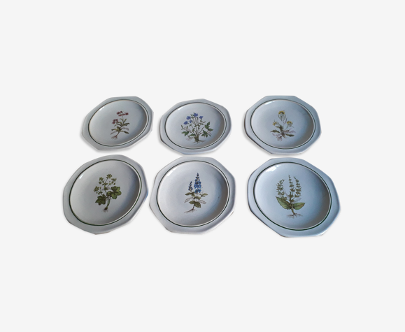 6 assiettes céramique italienne c.a.f.f gubio