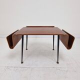 Italian Mid-Century Modern Coffee Table with Magazine Racks, 1950s