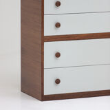 Decorative cabinet in wenge wood designed in the 1970s