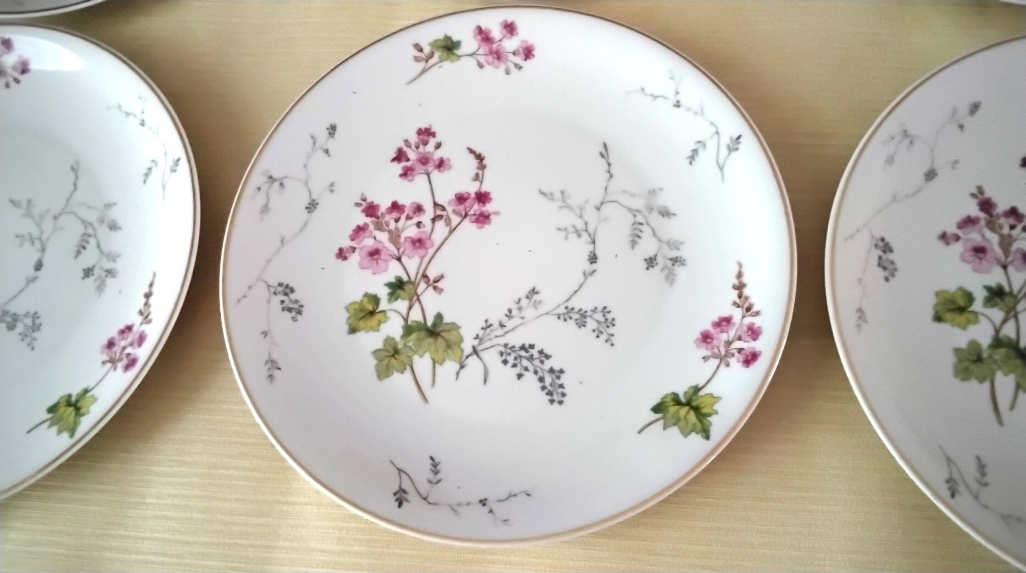 6 Limoges porcelain dessert plates by Ch. Field Haviland