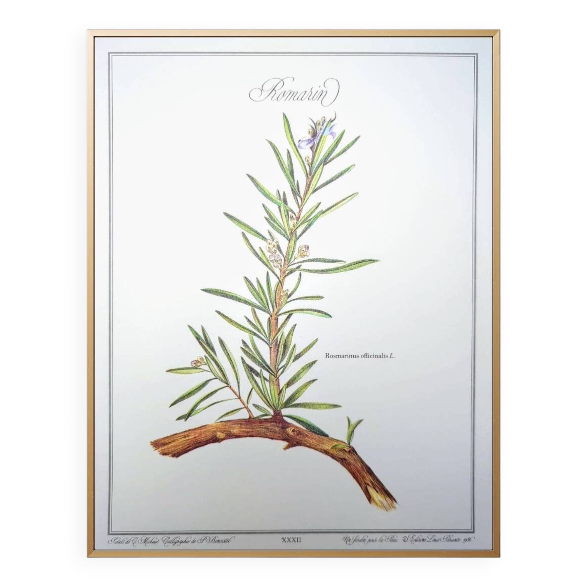 Printed in 1986, Le Romarin.