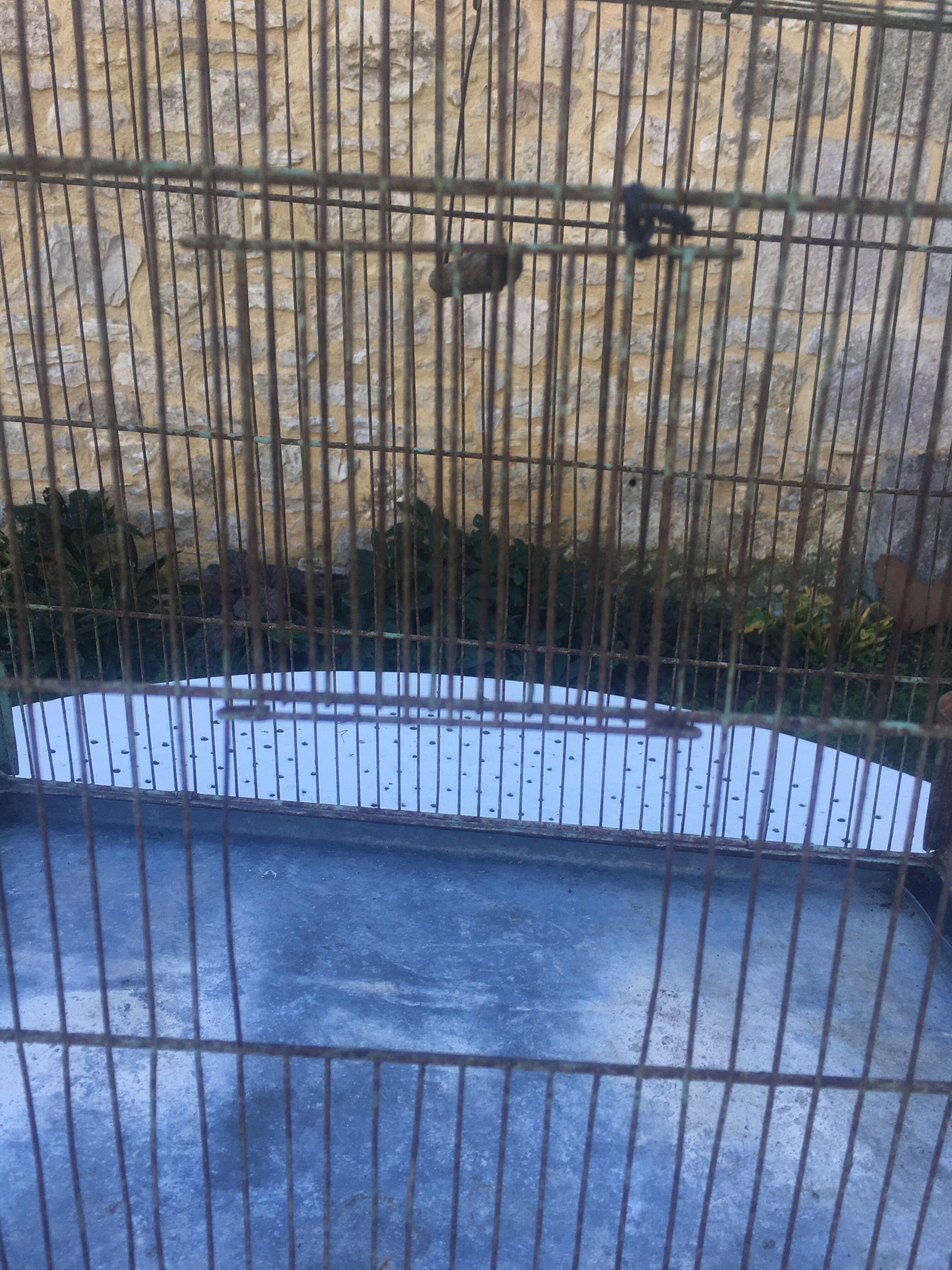 Metal bird cage