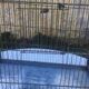Metal bird cage
