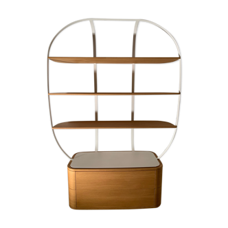 Oak and metal library