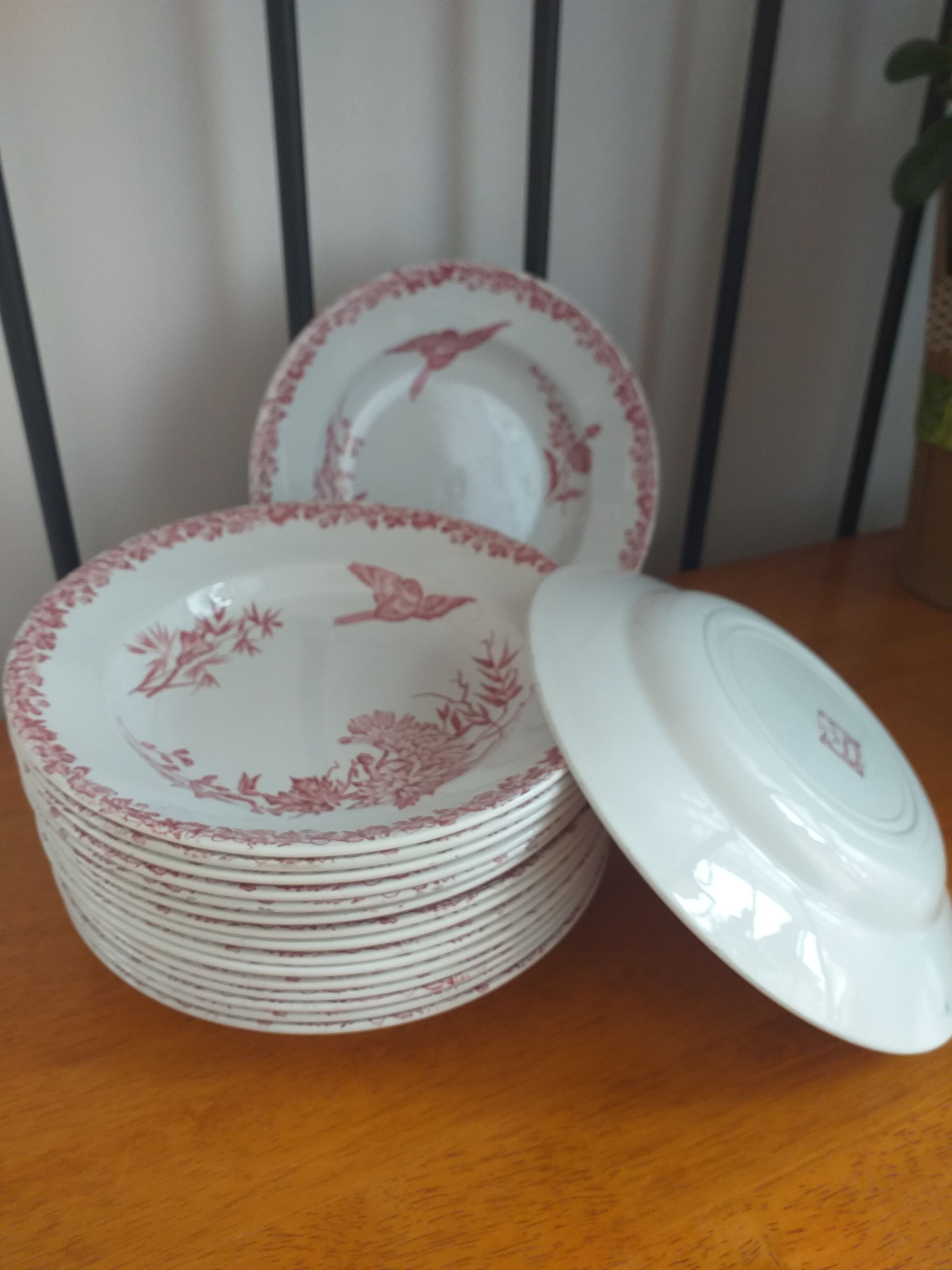 Hollow porcelain plates FF Pexonne
