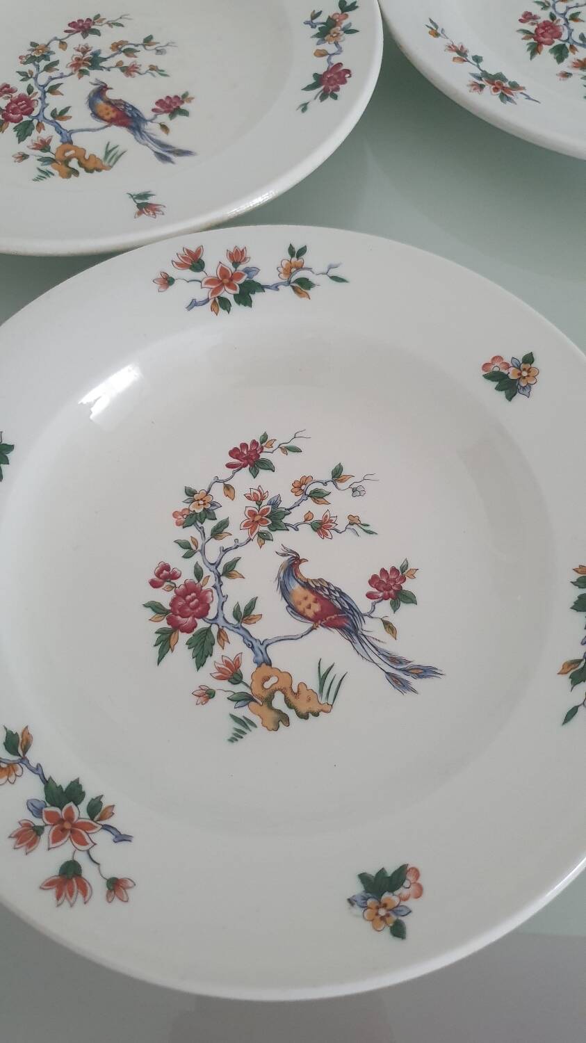 Set of 6 "Bird of Paradise" soup plates from Sarreguemines