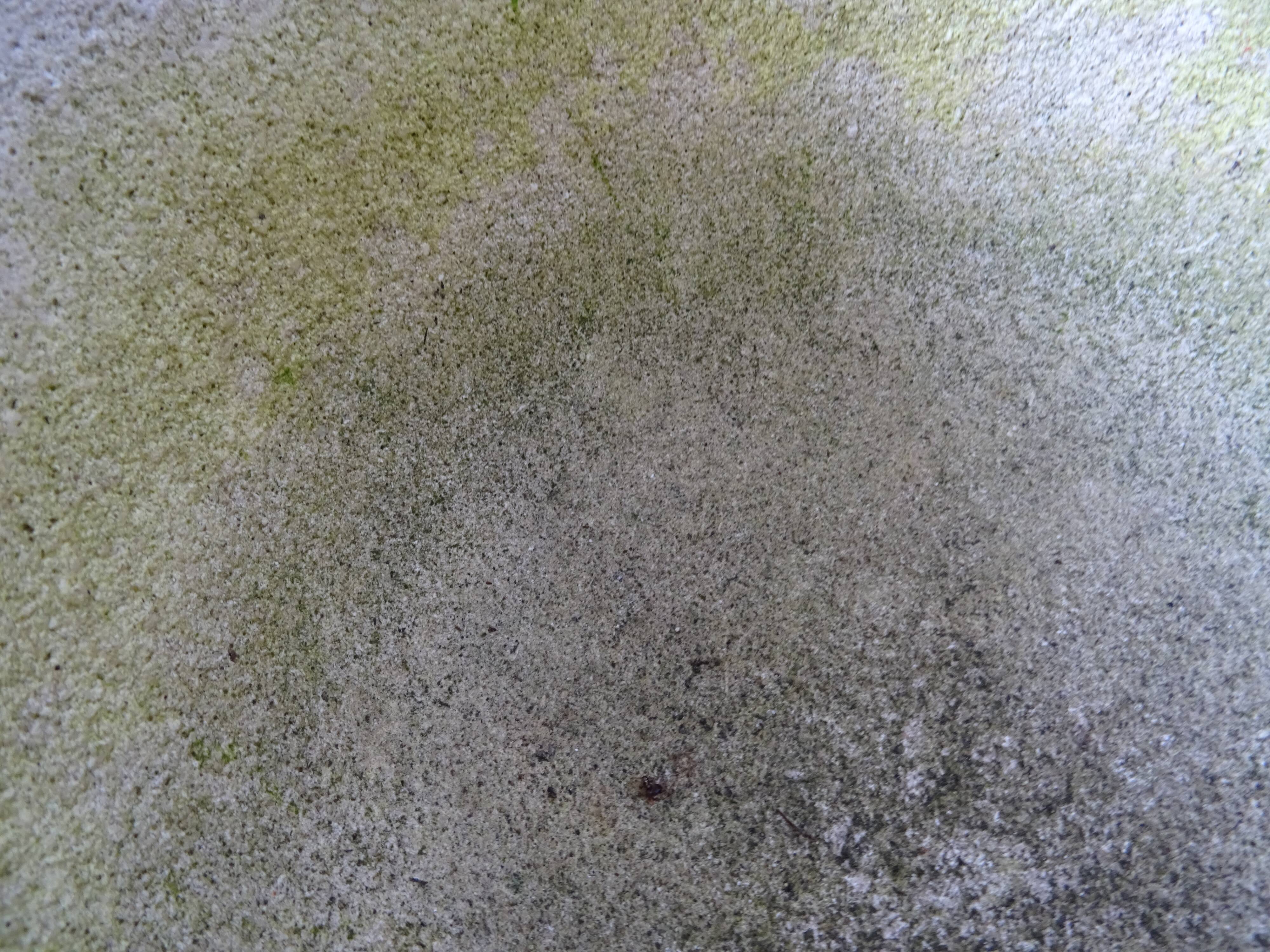 Old Provencal stone mortar