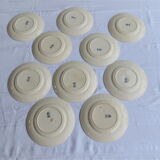Set of ten plates in Longwy, botanical décor