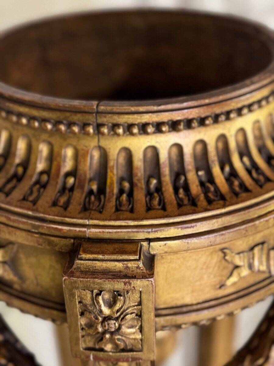 Louis XVI style planter in carved and gilded wood circa 1900