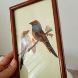 Set of 3 paintings featuring butterfly wing compositions.