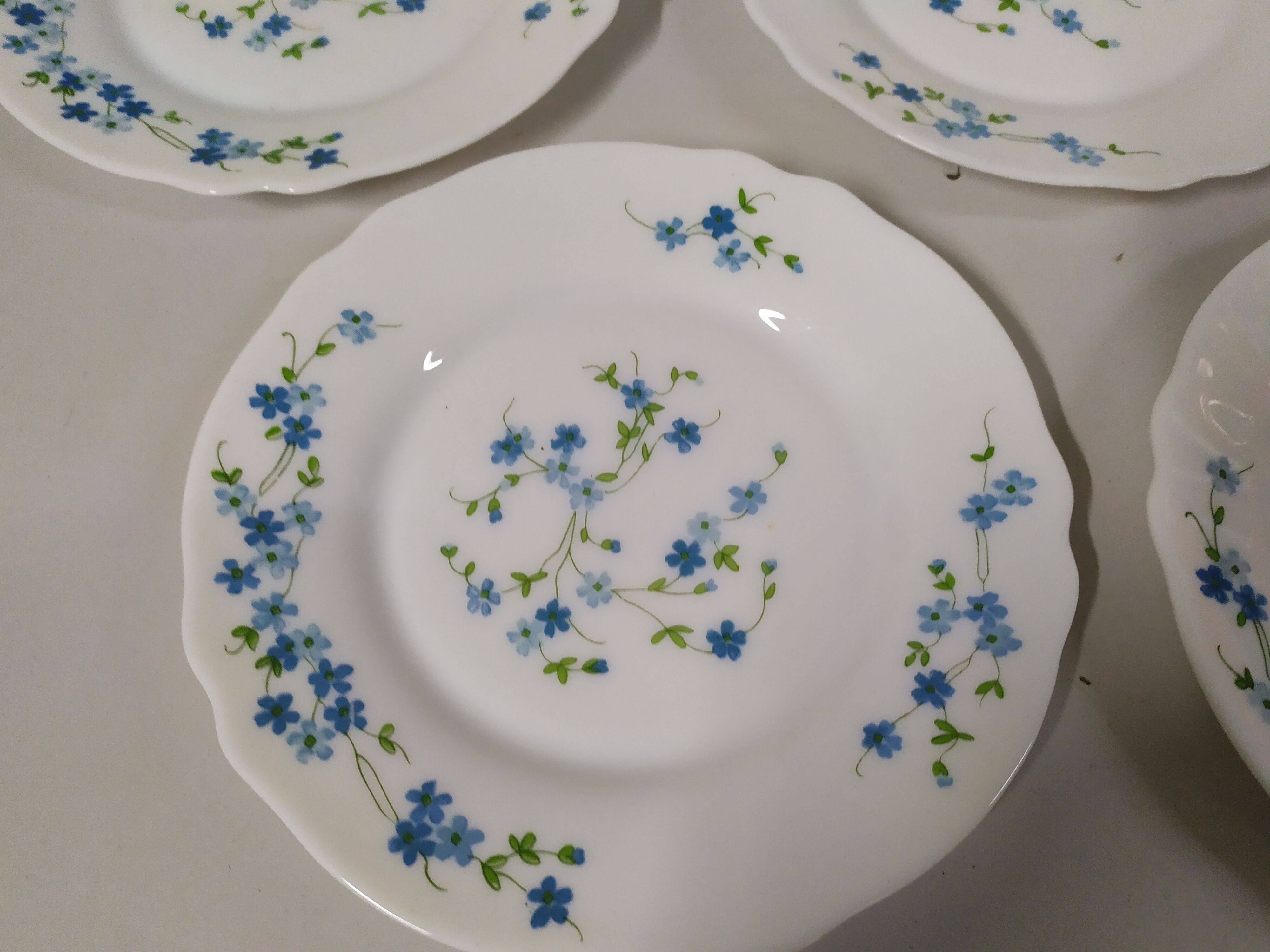 5 Desserts ARCOPAL Véronica Myosotis Vintage Blue Flower