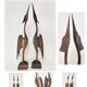 Pair of birds sculptural solid wood design 60s-70s