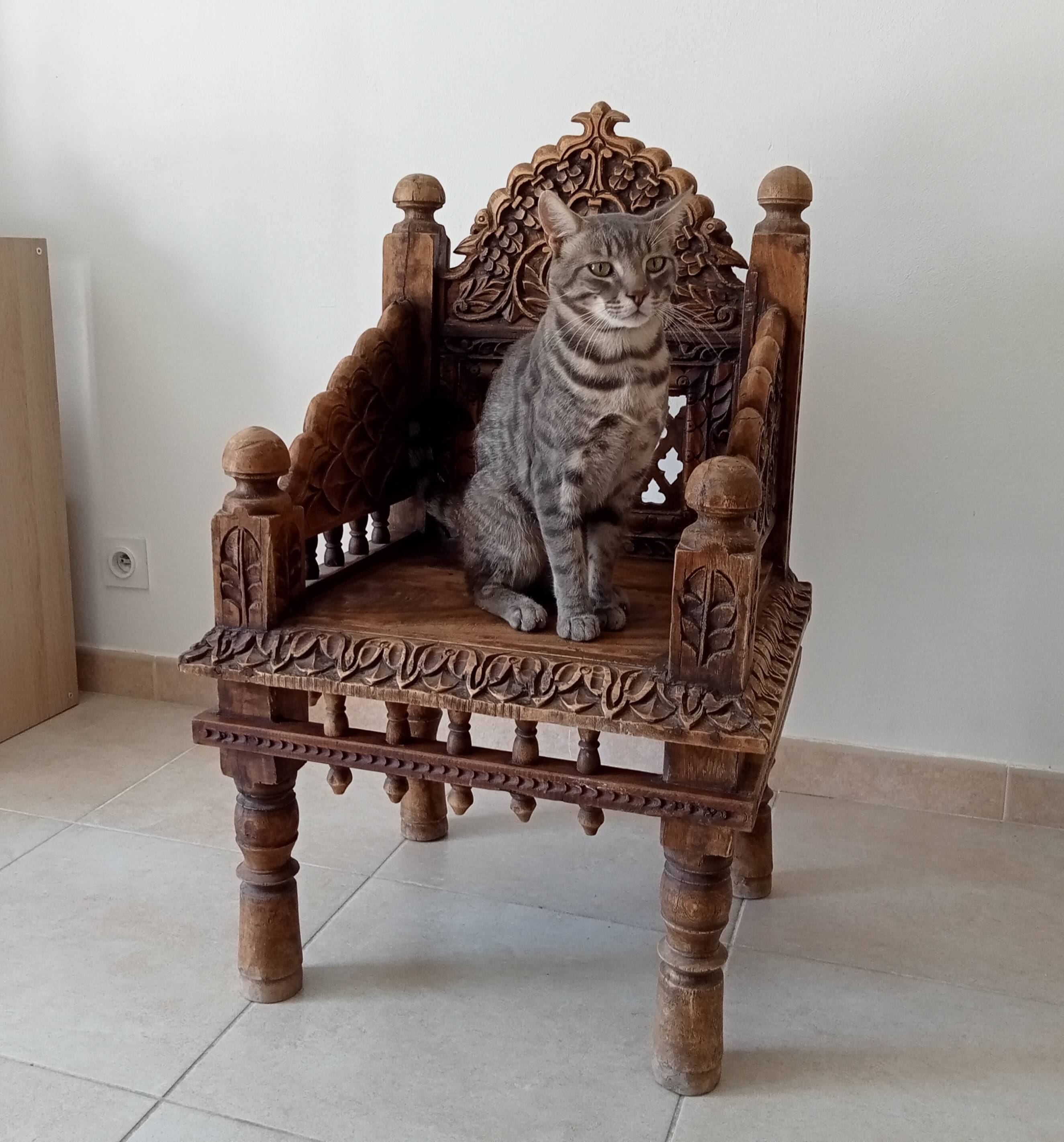 Fauteuil Ancien Pidha Rajasthan XIXeme en Palissandre
