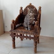 Antique Pidha Armchair from Rajasthan, 19th Century in Rosewood