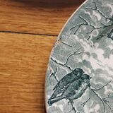 4 dessert plates in iron earth model "Snow" U&C Sarreguemines late nineteenth early twentieth century