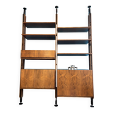 Franco Albini Shelf