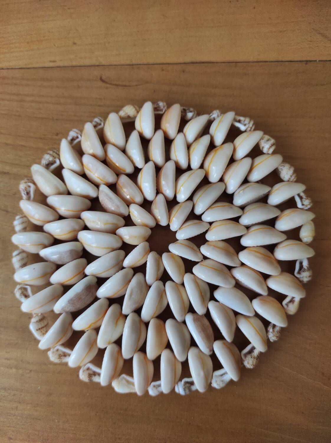 Shell decoration