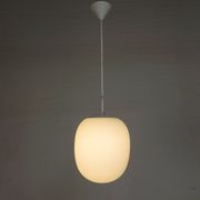 Vintage school lamp with frosted white glass shade, 1950s.