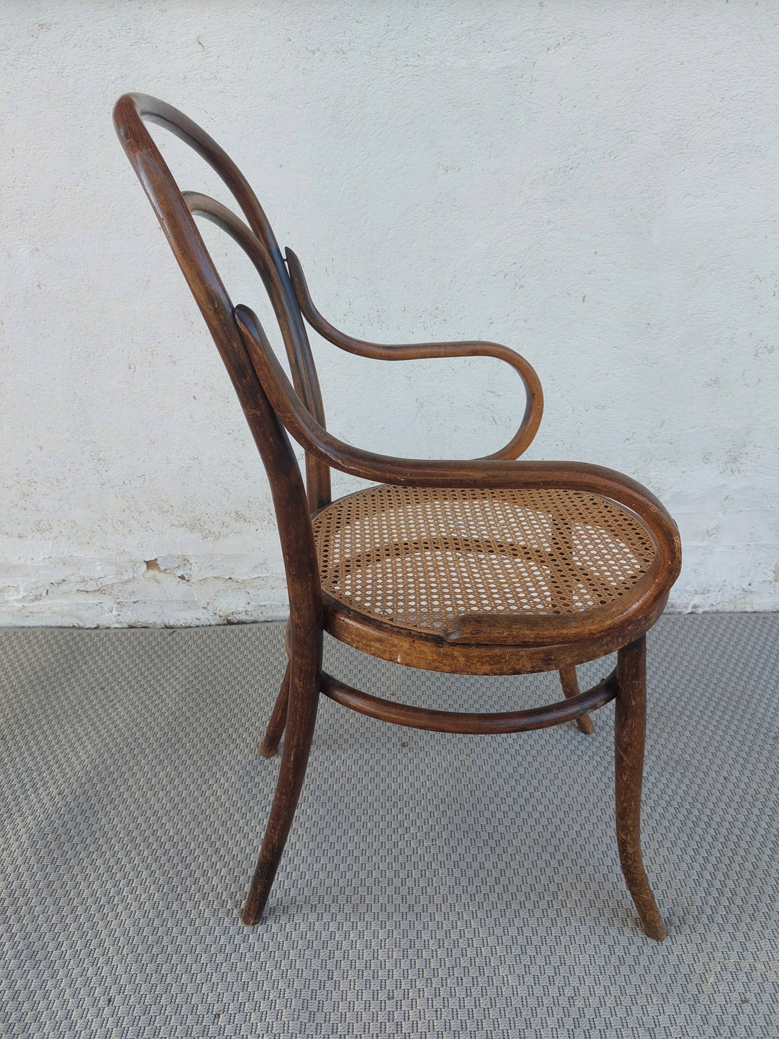 Fauteuil canné et bois courbé style Thonet Fischel, années 30