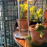 Vintage liner mushroom lamp