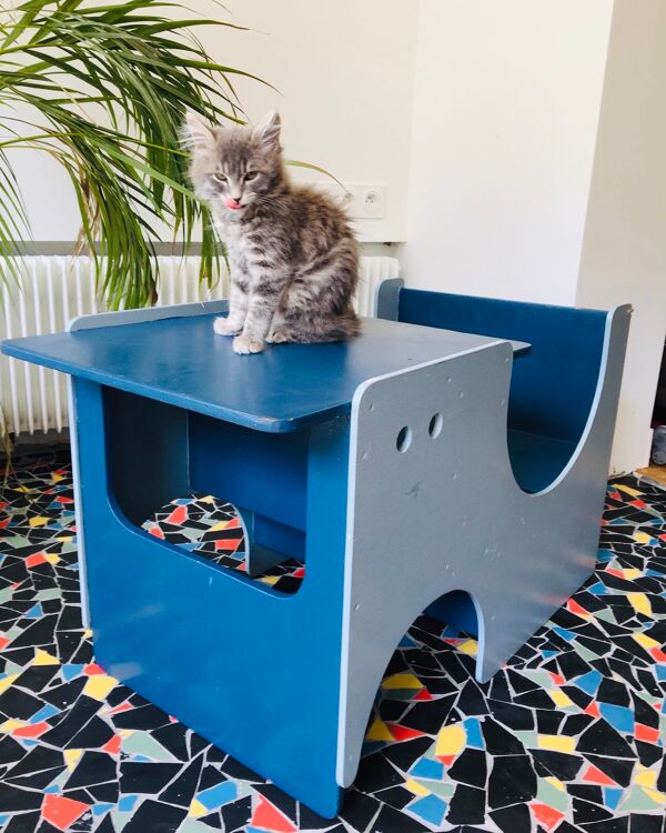 Chaise haute ou table avec chaise enfant