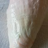 Collectible shell Strombe Lambi pink