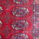 Carpet designs bukhara in wool 70x144 cm