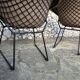 Pair of Diamond Chairs by Harry Bertoia for Knoll, 1970s