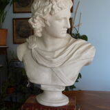 Plaster bust in the antique Apollo of the Belvedere, 70 cm