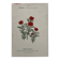Botanical Plate 1800 Old Naturalist Engraving 19th Century Double-Sided