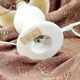 Vintage lamp alabaster foot lampshade vellum dried flowers