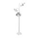 Lamppost flowers 1970