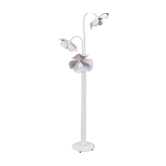 Lamppost flowers 1970