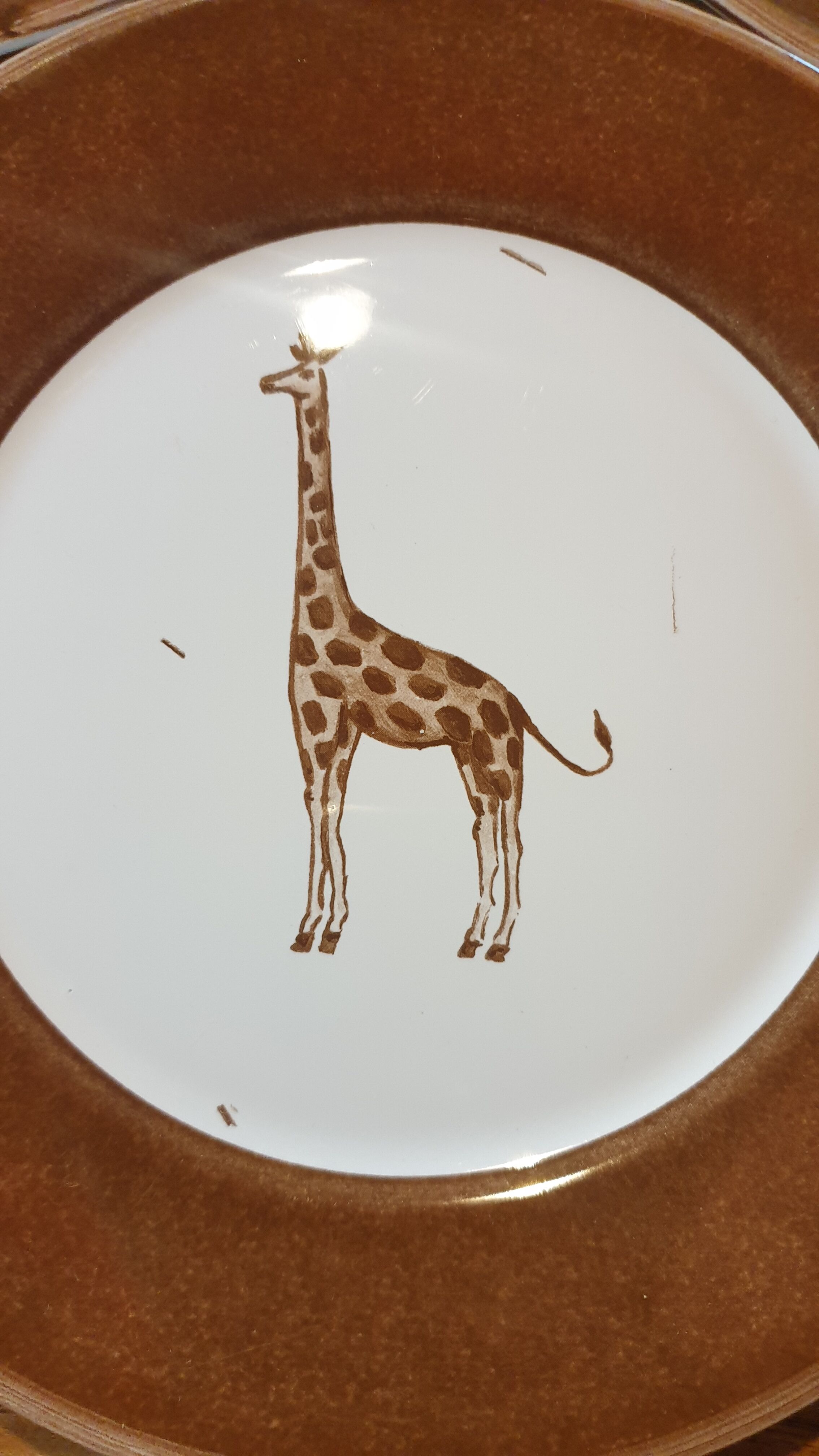 Set 5 assiettes à dessert animaux sauvages d'Afrique