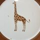 Set 5 assiettes à dessert animaux sauvages d'Afrique