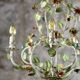 Large flower and leaf chandelier, hand-painted sheet metal, Italy, 1940s