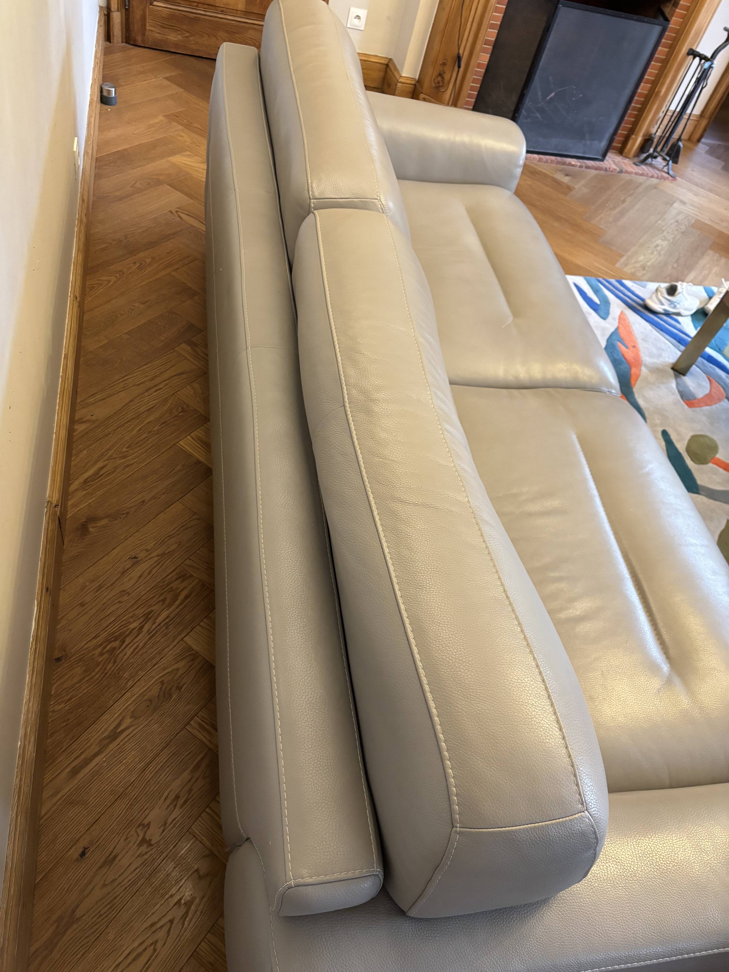 Roche Bobois sofa