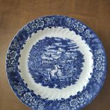 Large dish
