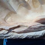 Tridacna shell (86 cm) – on base – rare and decorative