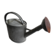 old zinc deco watering can